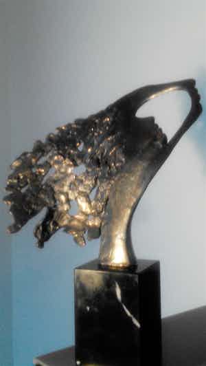 Bernadette Leijdekkers - Vrouw die naar de toekomst kijkt verkocht voor € 59!