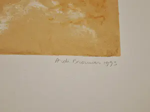 Ardi Brouwer - Fraaie polychrome zeefdruk "de orde" - gelimiteerde oplage (300) - 2003 kopen? Bied vanaf 34!