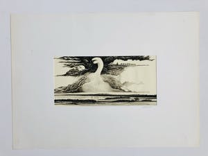 Ari Stolk - De zwaan kopen? Bied vanaf 75!