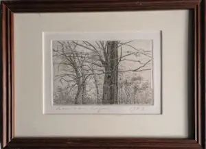 Han van Hagen - Bomen in landschap kopen? Bied vanaf 10!