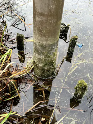 Hedda Willem Buijs - bijzonder abstract beeld (geschikt als vijverbeeld) kopen? Bied vanaf 400!