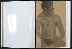 Marlene Dumas - Nobuyoshi Araki, Tracy Emin e.a. - Visionaire 46 UNCENSORED by Mario Testino kopen? Bied vanaf 250!