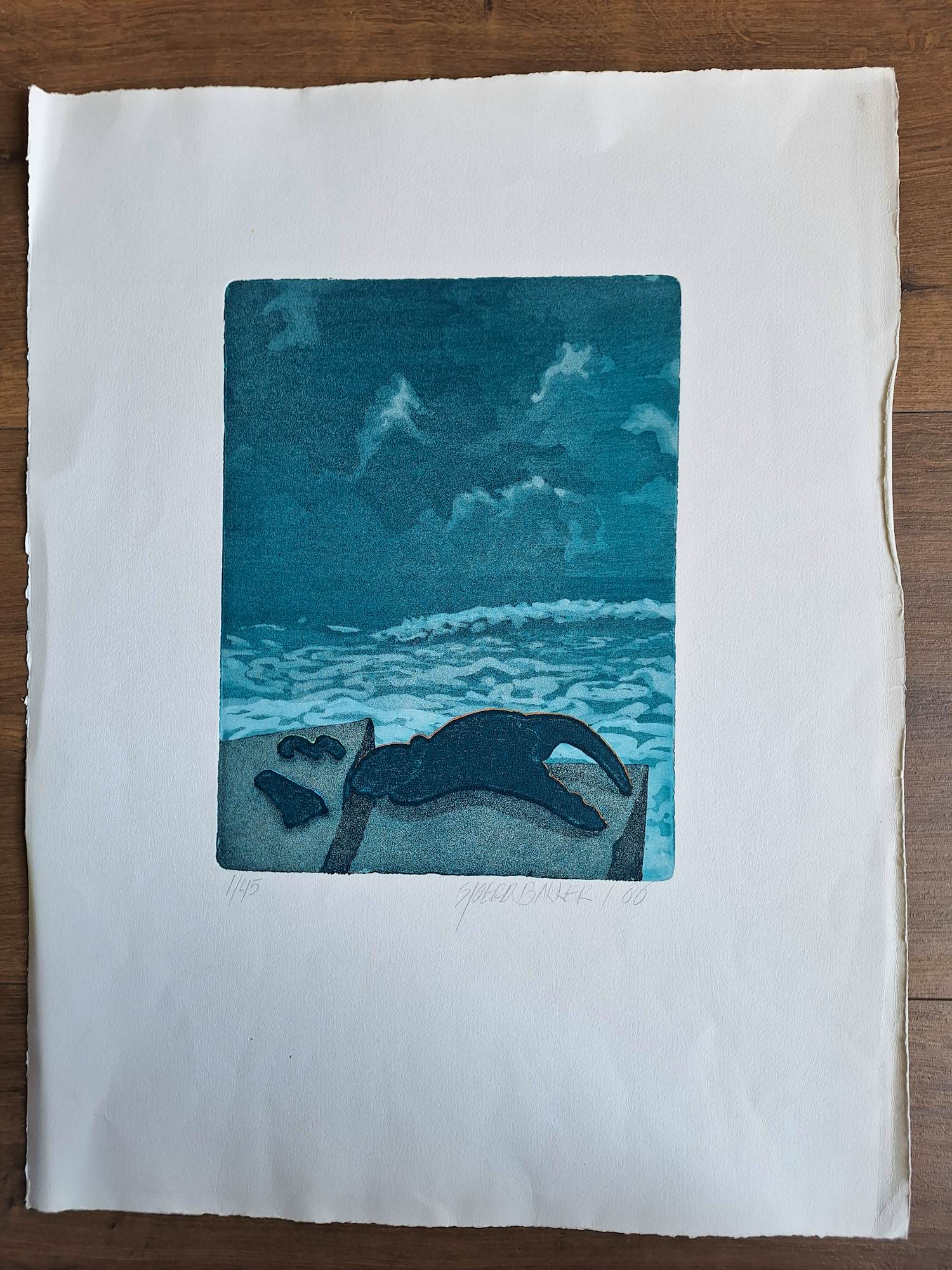 Sjoerd Bakker - Onbekend kopen? Bied vanaf 50!