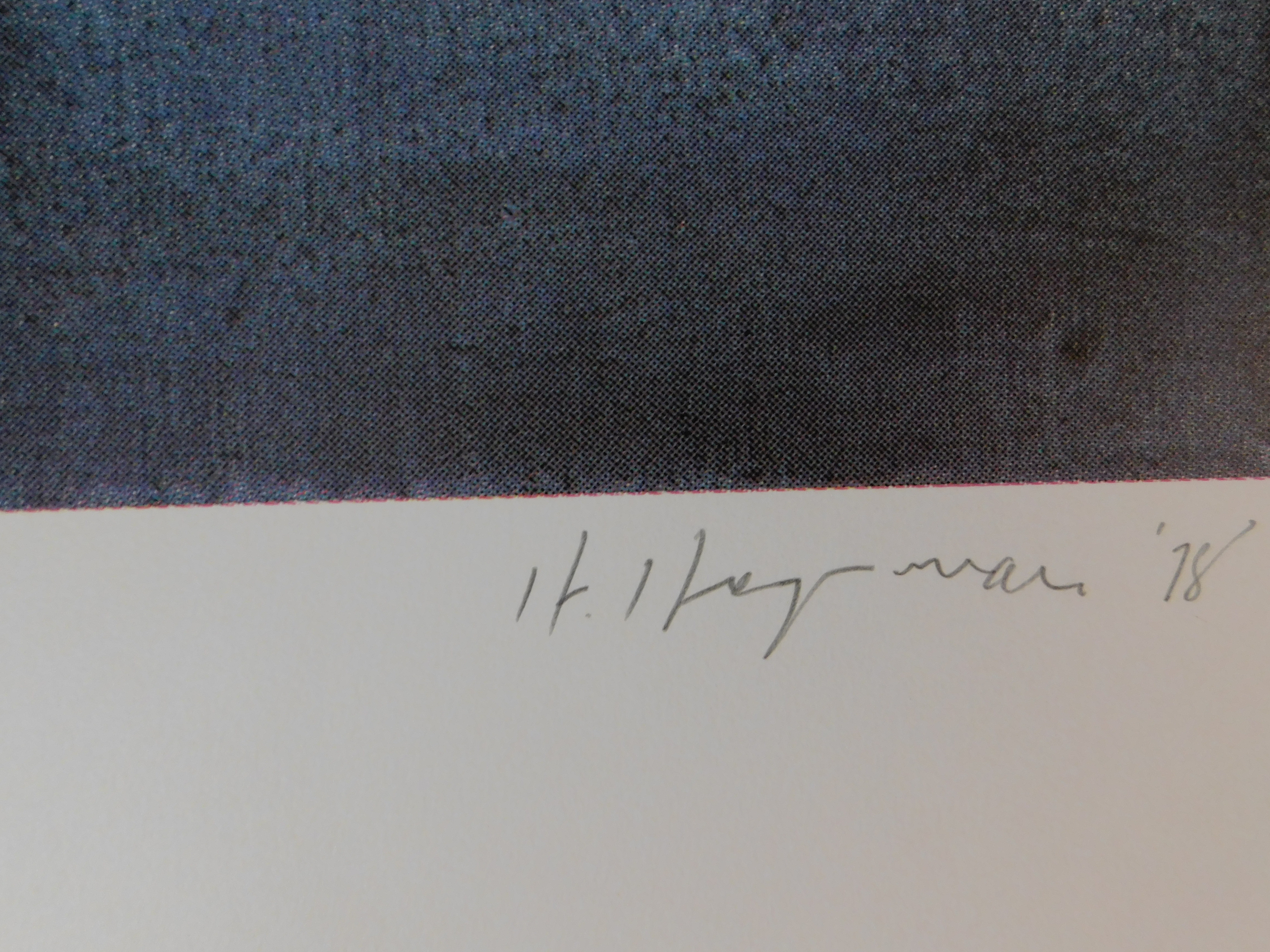 Hugo Heyrman - La Côte de l'Air kopen? Bied vanaf 35!