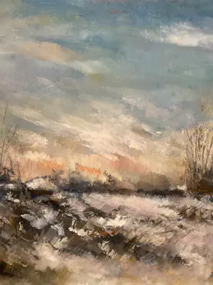 Ab Jongmans - Winter in de Peel kopen? Bied vanaf 199!