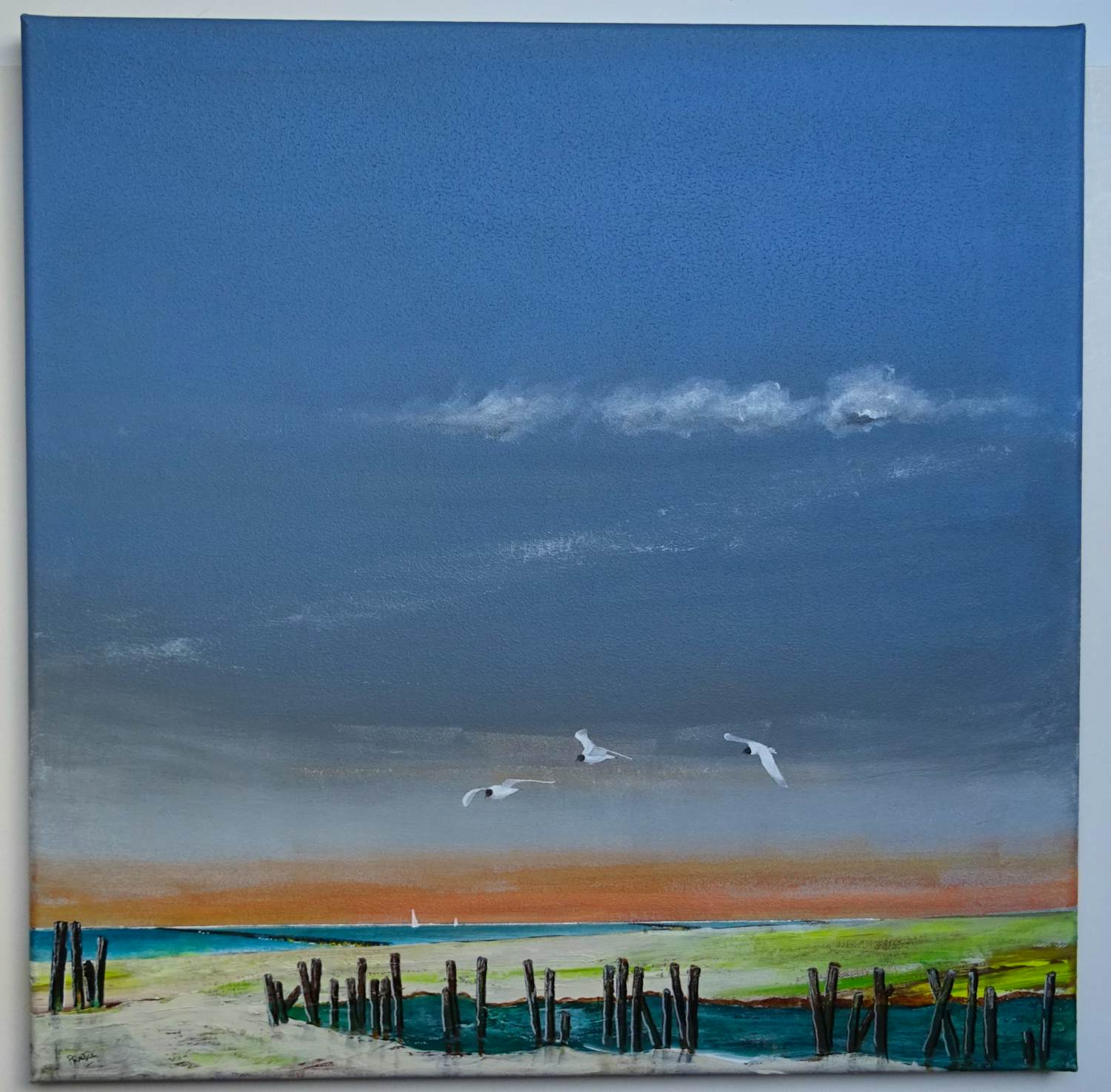 Franklin Meijer - Waddenkust met kokmeeuwen kopen? Bied vanaf 79!