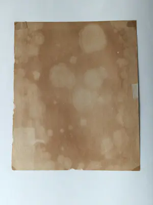 Jan Voerman (jr.) - Grote lithografie - 1925 - "bloeiende potplant" - beperkte oplage (100) kopen? Bied vanaf 29!