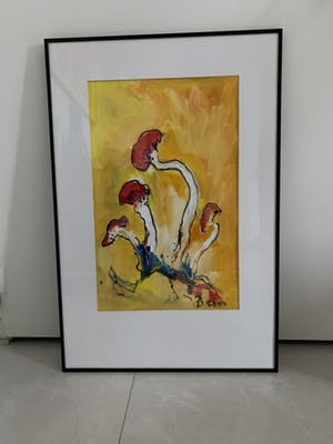 Arno Overdevest - Paddenstoelen kopen? Bied vanaf 250!