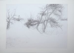 Franscz Witte - Potloodtekening, Boslandschap kopen? Bied vanaf 1!