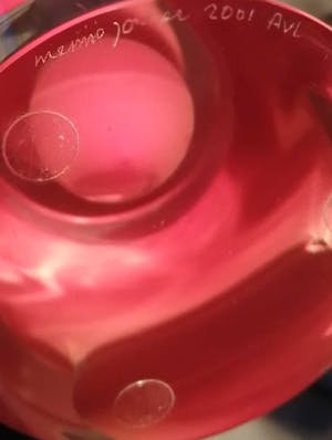 Menno Jonker - Leerdam Glasobject 2001 kopen? Bied vanaf 575!