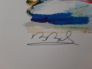 Niet of onleesbaar gesigneerd - Boris Becker kopen? Bied vanaf 1!