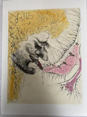 Salvador Dali - 12 stuks litho Venus aux Fourrures kopen? Bied vanaf 185!