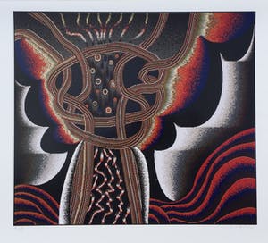 Shinkichi Tajiri - zeldzame knoop - gesigneerde computerprint - incl. originele bewaarmap kopen? Bied vanaf 150!