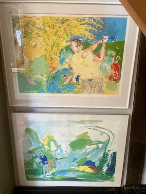 Jan van Diemen - Golf kopen? Bied vanaf 150!