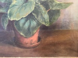 Felicien Bobeldijk - Bloemen in Vaas kopen? Bied vanaf 50!