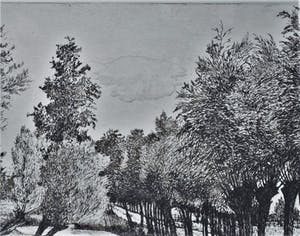 Nico van der Jagt - Poldersloot met knotwilgen - ets, 1948 - druk v.d. etser kopen? Bied vanaf 49!