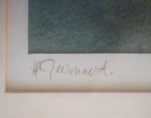 Hans Geernaert - Waterlelie. kopen? Bied vanaf 39!