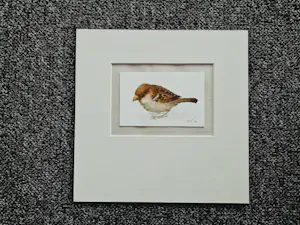 Jan Bos - Prachtig geschilderde aquarel "Musje" - gesigneerd - in passe partout kopen? Bied vanaf 35!