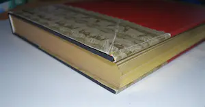 Giovanni Battista Piranesi - 3 boeken, 2x hardcover-als designer & uitgever van boeken & Gravures/etsen/tek. kopen? Bied vanaf 75!