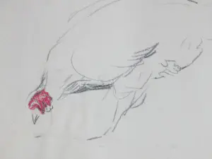 Alexander Gerhardus Dieperink - Twee kippen - Tekeningen kopen? Bied vanaf 48!