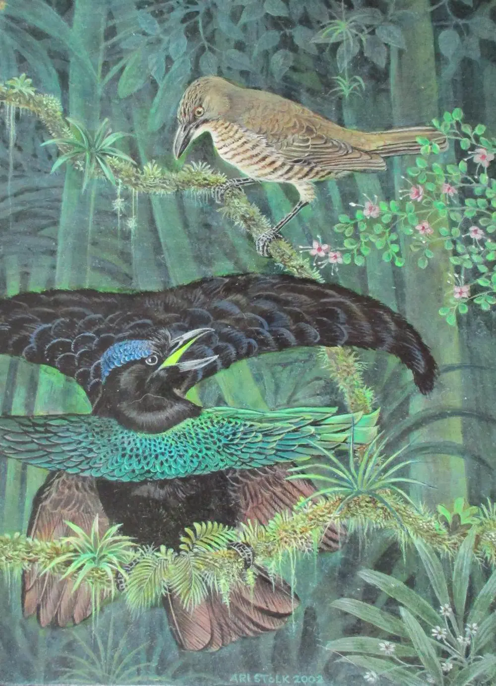 Ari Stolk (1934-2017)