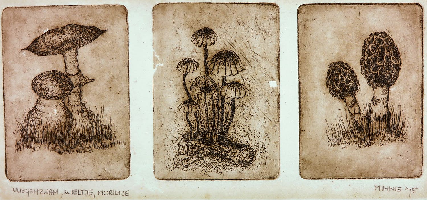 Niet of onleesbaar gesigneerd - Ets, Vliegenzwam, wieltje morielje kopen? Bied vanaf 1!