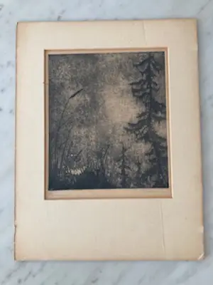 Johan Christiaan Jacobus van Schagen - Rood met zwart kopen? Bied vanaf 30!