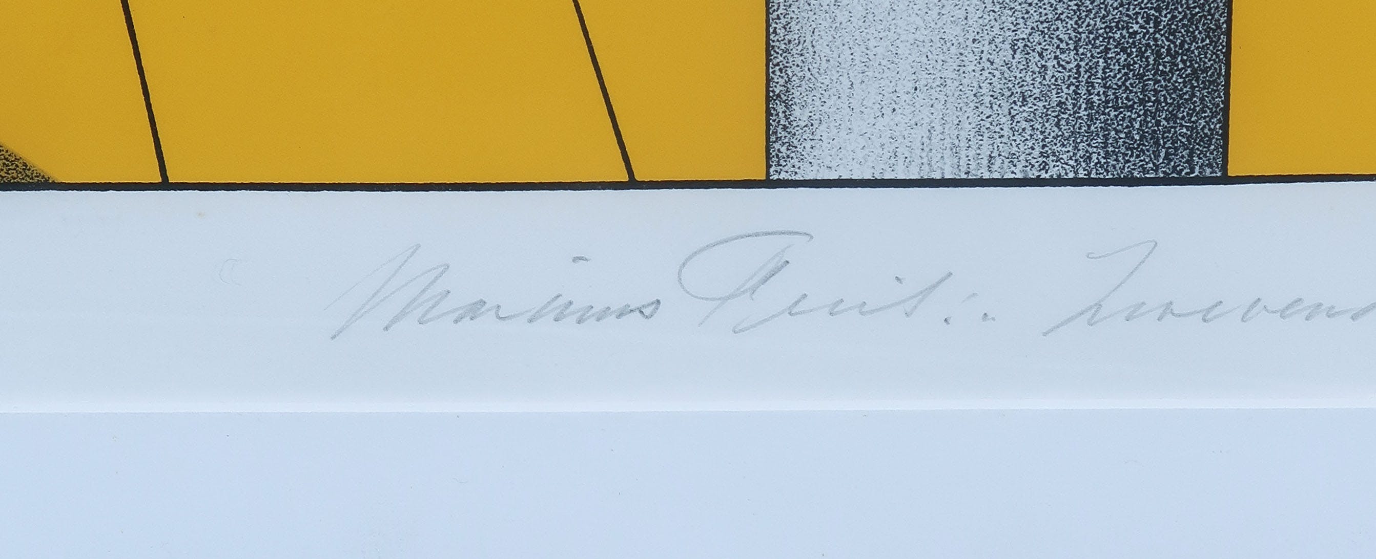 Marinus Fuit - Zeefdruk, Zwevende blauw-witte ballon - Ingelijst (Groot) kopen? Bied vanaf 50!