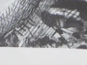 Aat Veldhoen - Afrikaanse vrouw - Rotaprint kopen? Bied vanaf 38!