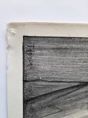 Theo van Hoytema - Litho, 'Apen' kopen? Bied vanaf 35!