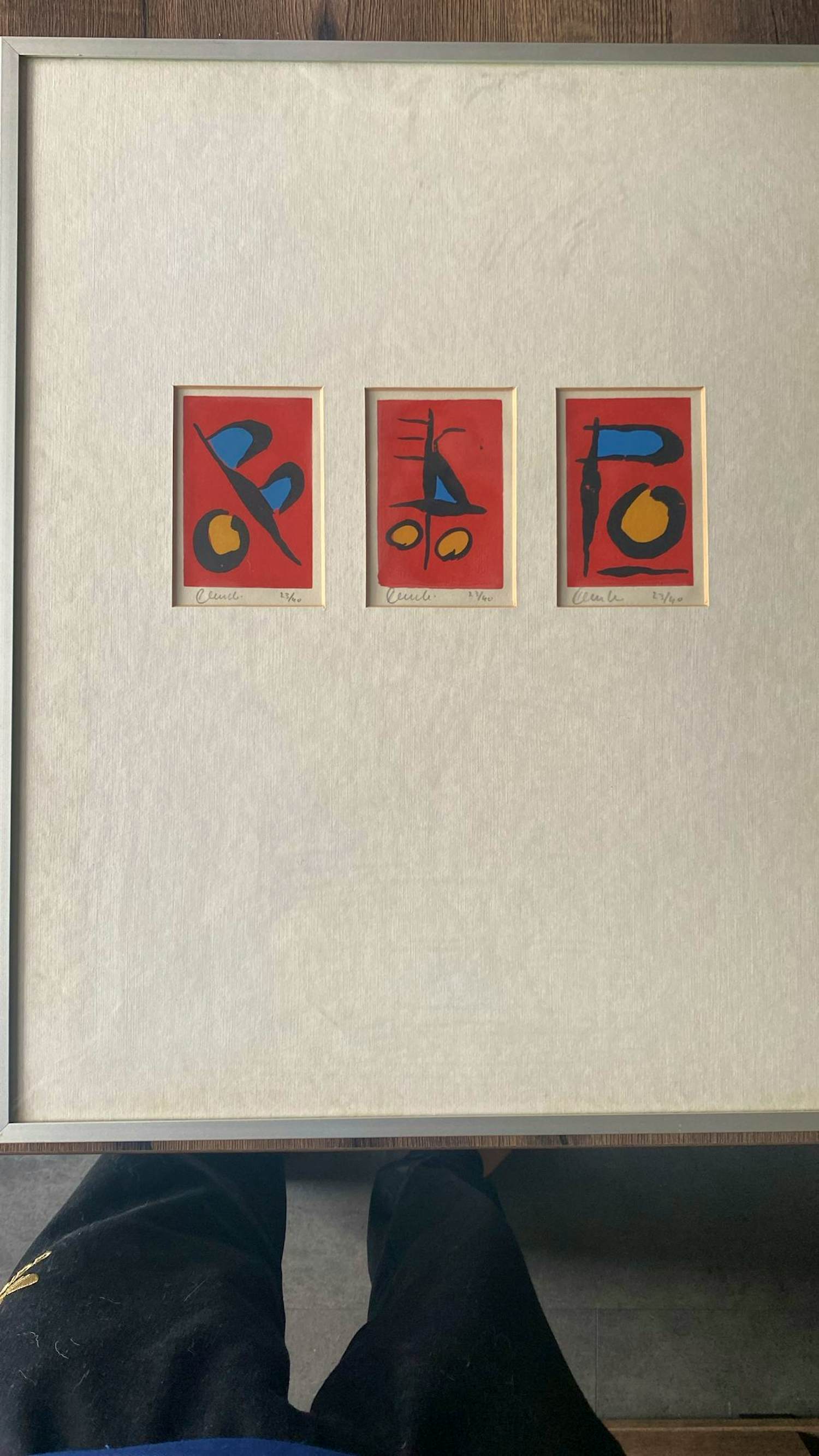 Paul Verhees - Originele zeefdruk uit tentoonstelling kopen? Bied vanaf 1250!