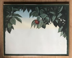 Jean Paul Vroom - Cherry kopen? Bied vanaf 100!