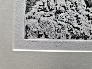 Han van Hagen - Fraai gedetailleerde droge naald Ets "Paricutin-vulkaan Mexico" gesigneerd kopen? Bied vanaf 48!