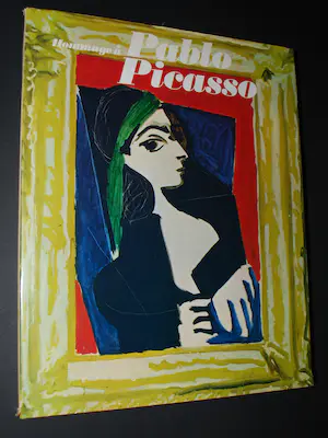 Pablo Picasso - Kunstboek met kleurenlitho kopen? Bied vanaf 125!