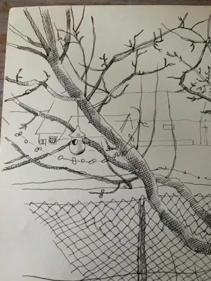 Herman Bieling - Tekening/studietekening Boom met voederhuisje, tekening verso kopen? Bied vanaf 40!