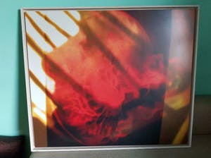 Phil van Wamel - Brainhair I. Mooie grote foto in houten baklijst. kopen? Bied vanaf 1!