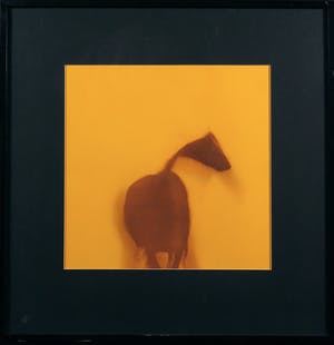 Paul Huf - C-Print, Gele paard - Ingelijst kopen? Bied vanaf 1!