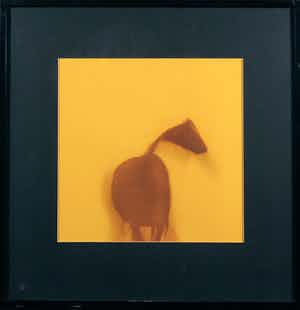 Paul Huf - C-Print, Gele paard - Ingelijst verkocht voor € 1!