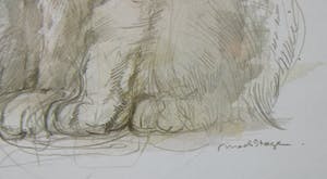 Niet of onleesbaar gesigneerd - Mads Stage - 4 Studies of Cats kopen? Bied vanaf 1!