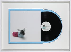 Damien Hirst - Gesigneerde LP-hoes, Red Hot Chili Peppers album: I'm with you - Ingelijst kopen? Bied vanaf 1!