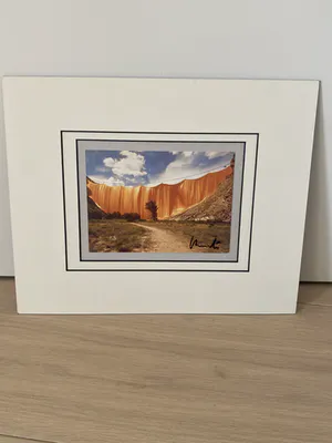 Christo - Valley curtin kopen? Bied vanaf 100!