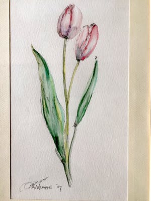 Aart van Woensel - Tulpen - Aquarel, Ingelijst kopen? Bied vanaf 25!