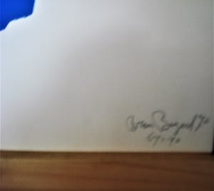 Bram Bogart - Litho in kleur geel/blauw kopen? Bied vanaf 399!