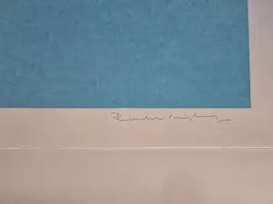 Rinke Nijburg - St20Se03 kopen? Bied vanaf 60!