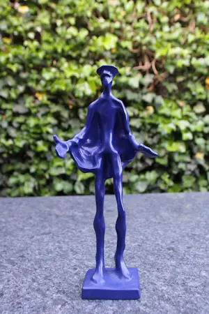 Ronald Tolman - Blauwe diender kopen? Bied vanaf 249!