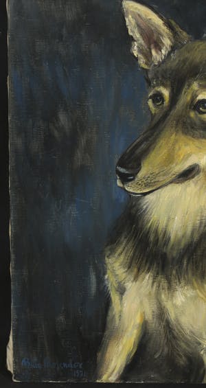 Bitia Rosendor - Olieverf op doek, Hondenportret, "Malinois" kopen? Bied vanaf 1!