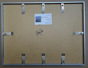 Franklin Meijer - Friese Waddenkust met meeuwen kopen? Bied vanaf 69!