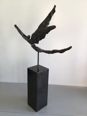 Corry Ammerlaan - “ Met het juiste doel voor ogen “ kopen? Bied vanaf 129!