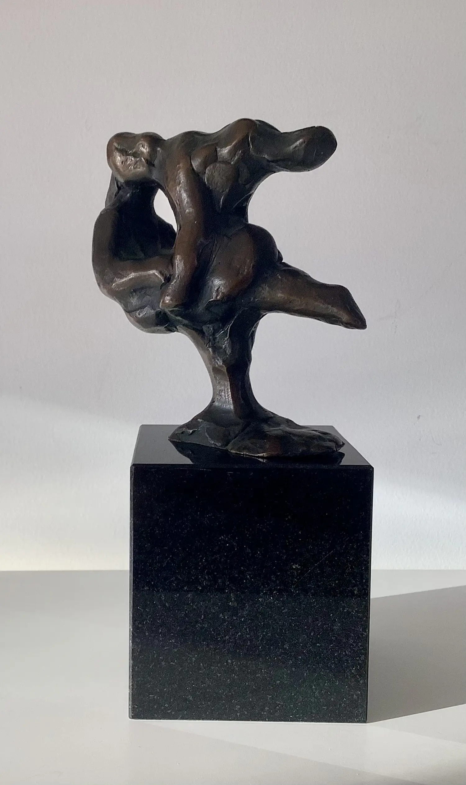 Remco van der Gugten (1942)