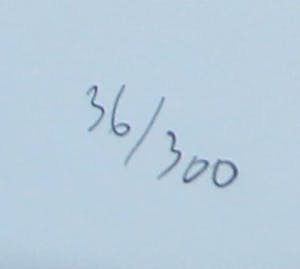 Willem Gorter - Zeefdruk - 1988 kopen? Bied vanaf 45!